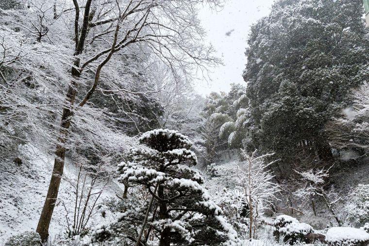 真っ白に染まった風景を見ながら故郷の事、幼少の頃を思い出す方も多いかと思います